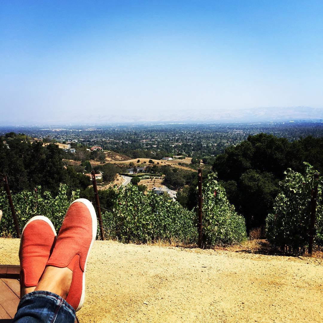 A wide landscape view with Adam's feet in the foreground
